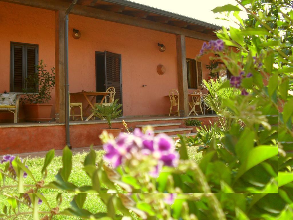 Il Vigneto B&B Gonnesa Exterior foto